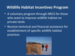 Wildlife Habitat Incentives Program
• A voluntary program through NRCS for those
who want to improve wildlife habitat on
private lands
• Receive technical and financial assistance for
establishment of specific wildlife habitat
practices
 