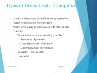 Wildlife health and drugs used in wildlife | PPTX