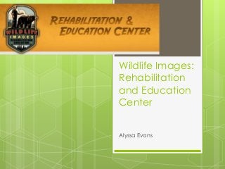 Wildlife Images:
Rehabilitation
and Education
Center
Alyssa Evans
 