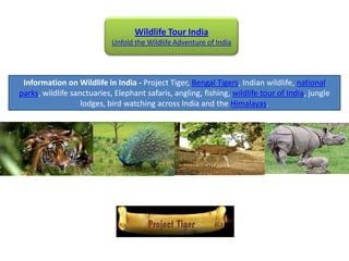 Wildlife Tour India
                            Unfold the Wildlife Adventure of India




 Information on Wildlife in India - Project Tiger, Bengal Tigers, Indian wildlife, national
parks, wildlife sanctuaries, Elephant safaris, angling, fishing, wildlife tour of India, jungle
                   lodges, bird watching across India and the Himalayas.
 