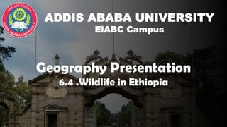 Wild life in Ethiopia(including national parks and conservatory centers ...