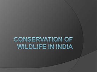 Wildlife in india