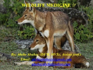 WILDLIFE MEDICINE
By: Abebe Abuhay (DVM, MVSc, Assisst prof.)
Email: abebeabuhayy@gmail.com
abuhayabebe@yahoo.com
1
 