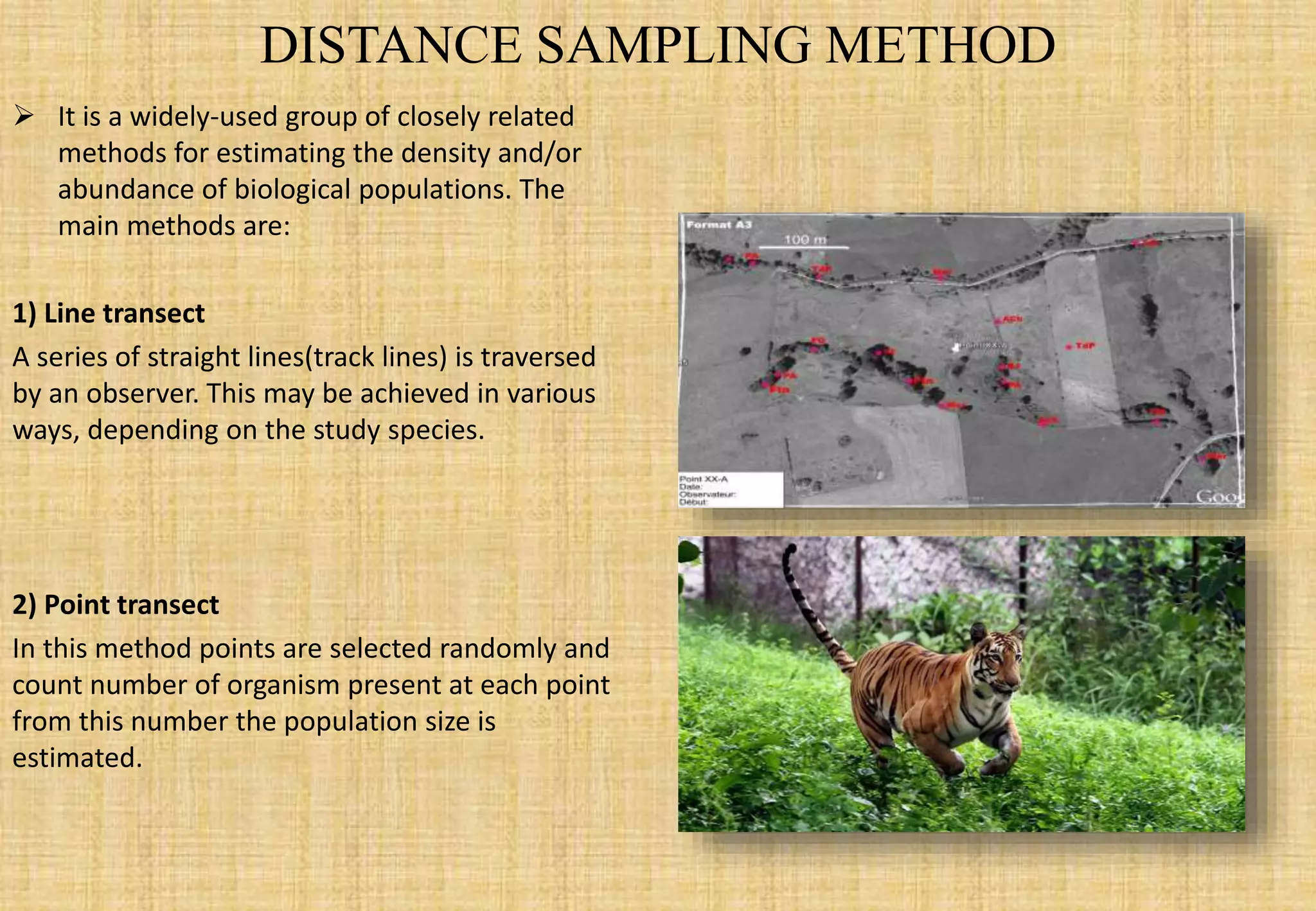 Point Trasect Method Wildlife management techniques and methods of wildlife conservation | PPTX