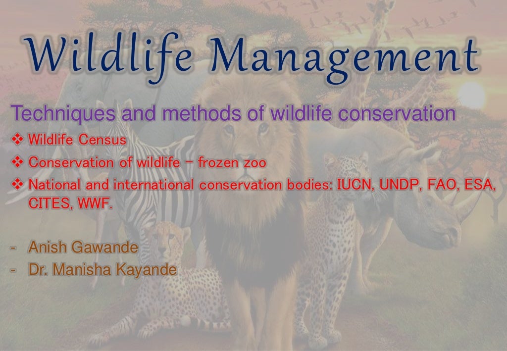 problem solving in conservation biology and wildlife management