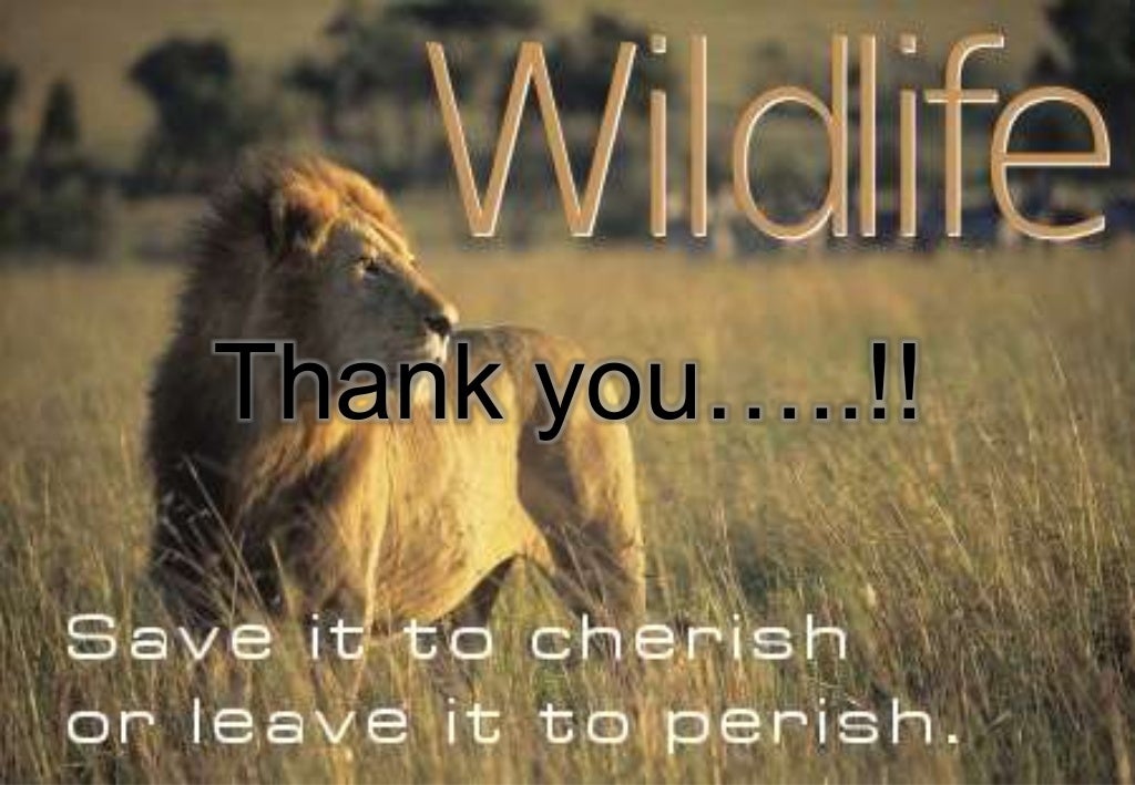 Wildlife management techniques and methods of wildlife conservation