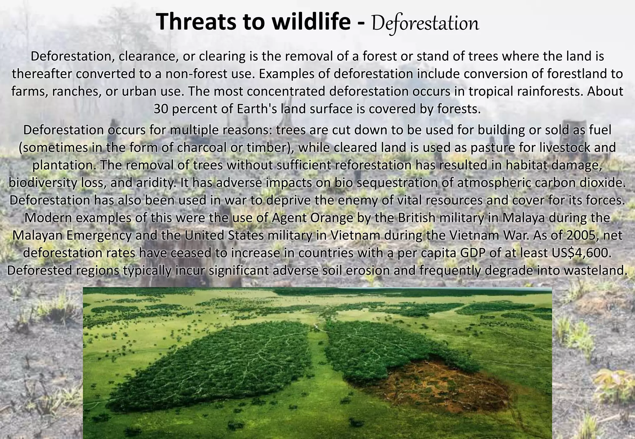 Wildlife management - threats to wildlife | PPTX