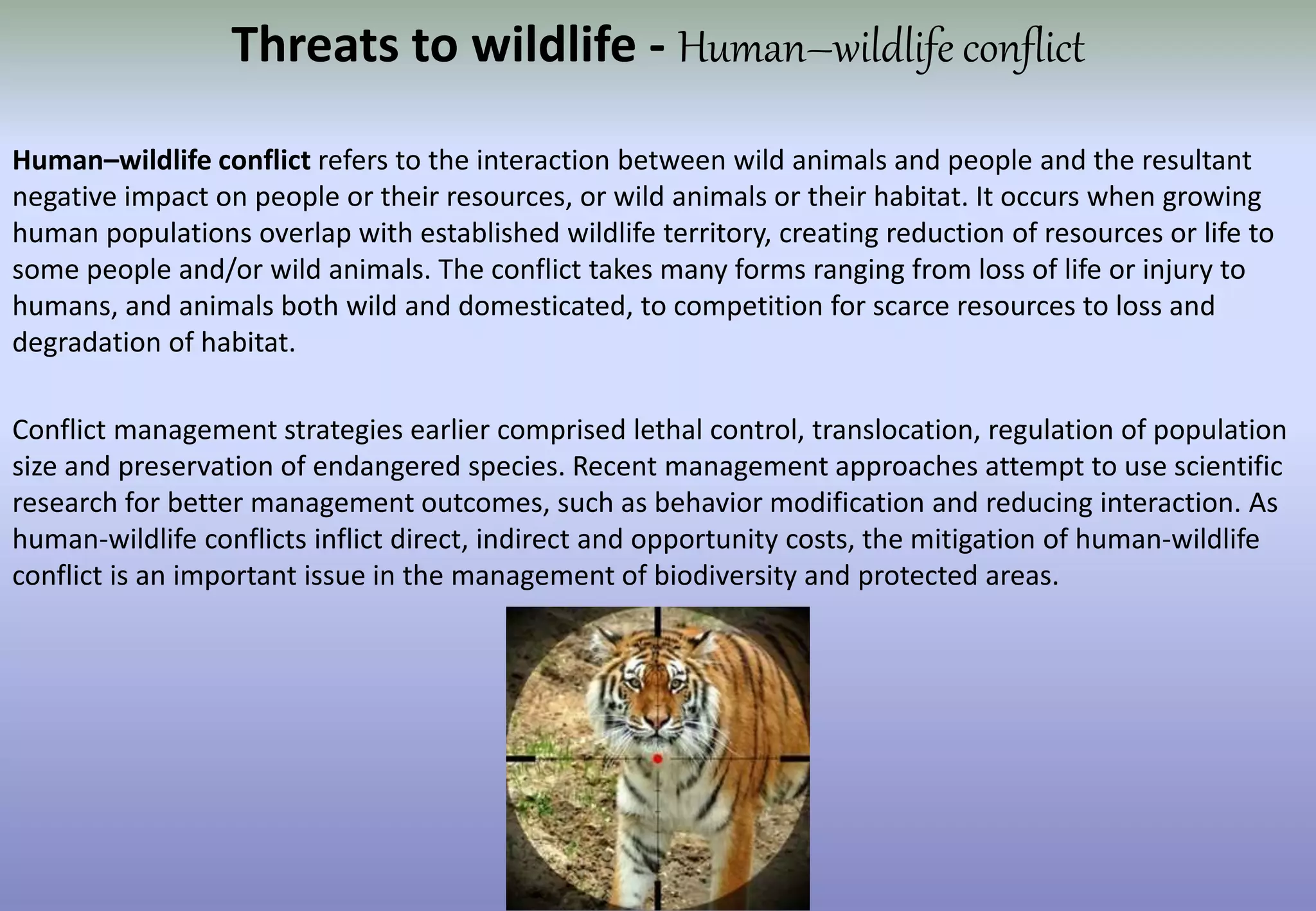 Human Presence Impacts Wildlife Behavior Yale The Scale of the Research