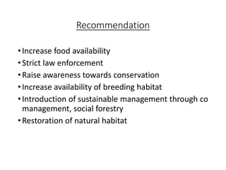 Recommendation
•Increase food availability
•Strict law enforcement
•Raise awareness towards conservation
•Increase availability of breeding habitat
•Introduction of sustainable management through co
management, social forestry
•Restoration of natural habitat
 
