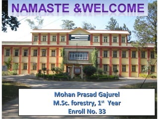 Mohan Prasad GajurelMohan Prasad Gajurel
M.Sc. forestry, 1M.Sc. forestry, 1stst
YearYear
Enroll No. 33Enroll No. 33
 