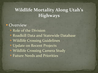 Wildlife Mortality Along Utah ’s Highways ,[object Object],[object Object],[object Object],[object Object],[object Object],[object Object],[object Object]