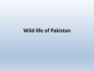 Wild life of Pakistan
 