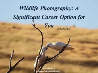 Wildlife Photography: A
Significant Career Option for
You
+91-9830796777
www.imagesredefined.in
By Sucheta Das
 