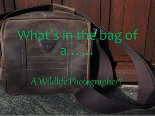 What’s in the bag of
a……
A Wildlife Photographer?
 