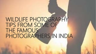WILDLIFE PHOTOGRAPHY
TIPS FROM SOME OF
THE FAMOUS
PHOTOGRAPHERS IN INDIA
 