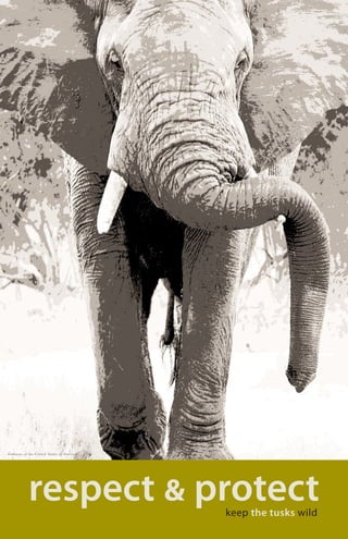 Embassy of the United States of America




           respect & protect              keep the tusks wild
 