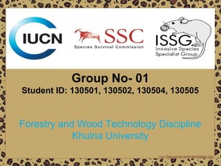 Group No- 01
Student ID: 130501, 130502, 130504, 130505
Forestry and Wood Technology Discipline
Khulna University
 