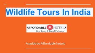 Wildlife Tours In India
A guide by Affordable hotels
 