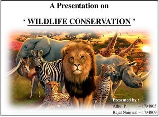 a presentation on wildlife conservation