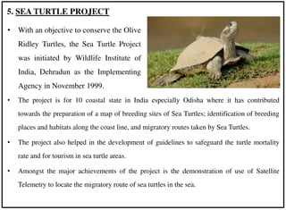 • The project is for 10 coastal state in India especially Odisha where it has contributed
towards the preparation of a map of breeding sites of Sea Turtles; identification of breeding
places and habitats along the coast line, and migratory routes taken by Sea Turtles.
• The project also helped in the development of guidelines to safeguard the turtle mortality
rate and for tourism in sea turtle areas.
• Amongst the major achievements of the project is the demonstration of use of Satellite
Telemetry to locate the migratory route of sea turtles in the sea.
5. SEA TURTLE PROJECT
• With an objective to conserve the Olive
Ridley Turtles, the Sea Turtle Project
was initiated by Wildlife Institute of
India, Dehradun as the Implementing
Agency in November 1999.
 