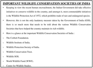 • Keeping in view the recent human encroachment, the Indian Government did take effective
initiatives to conserve wildlife in the country, and amongst it, most commendable initiatives
is the Wildlife Protection Act of 1972, which prohibits trade of rare and endangered species.
• However, this is not the only laudatory measure taken by the Government of India (GOI),
there is so much more that needs to be told about the various Wildlife Conservation
Societies that have helped the country maintain its rich wildlife.
• Here is a glance at the important Wildlife Conservation Societies of India :
› The Corbett Foundation.
› Wildlife Institute of India.
› Wildlife Protection Society of India.
› Wildlife Conservation Trust.
› Wildlife SOS.
› World Wildlife Fund (WWF).
› Centre for Wildlife Studies.
IMPORTANT WILDLIFE CONSERVATION SOCIETIES OF INDIA
 