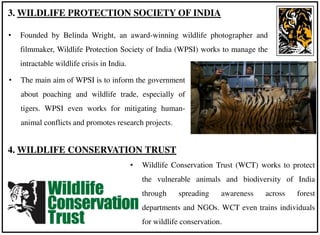 • The main aim of WPSI is to inform the government
about poaching and wildlife trade, especially of
tigers. WPSI even works for mitigating human-
animal conflicts and promotes research projects.
3. WILDLIFE PROTECTION SOCIETY OF INDIA
• Founded by Belinda Wright, an award-winning wildlife photographer and
filmmaker, Wildlife Protection Society of India (WPSI) works to manage the
intractable wildlife crisis in India.
4. WILDLIFE CONSERVATION TRUST
• Wildlife Conservation Trust (WCT) works to protect
the vulnerable animals and biodiversity of India
through spreading awareness across forest
departments and NGOs. WCT even trains individuals
for wildlife conservation.
 