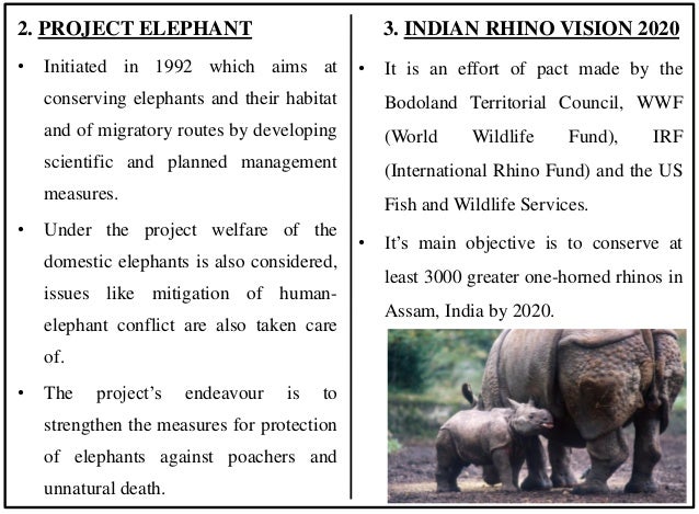 Download Ppt On Wildlife Of India