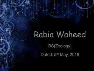 Rabia Waheed
BS(Zoology)
Dated: 5th May, 2018
 