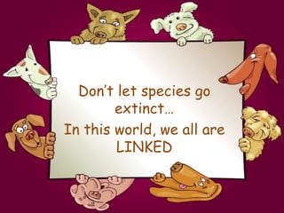 Don’t let species go
extinct…
In this world, we all are
LINKED
 