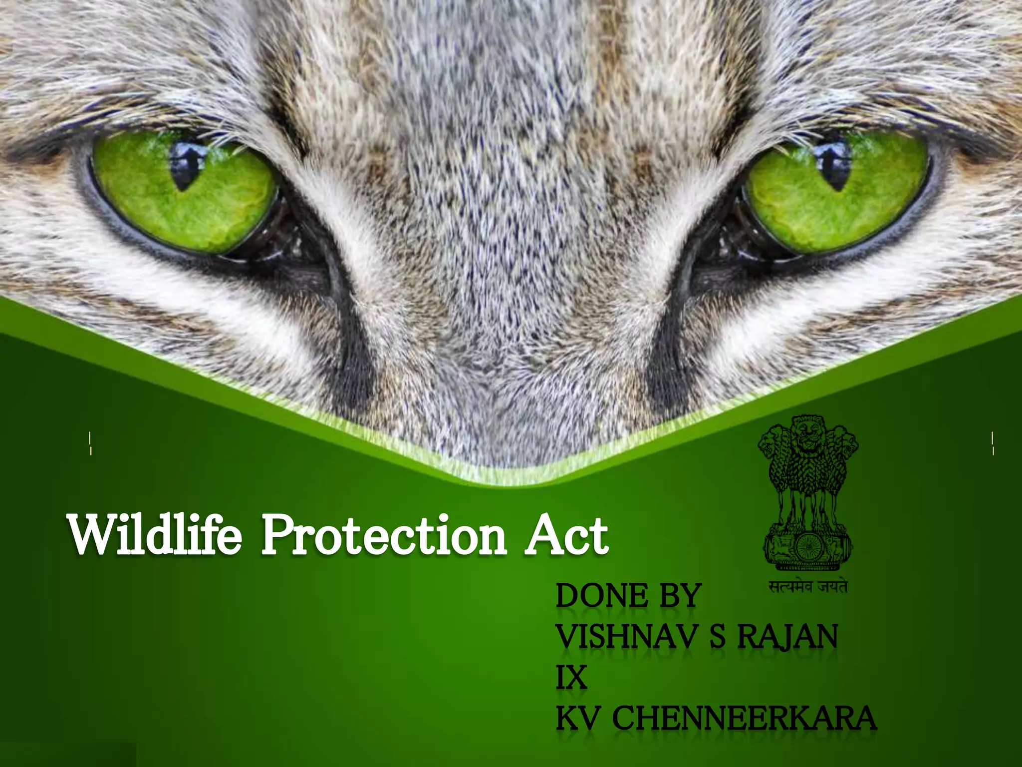 Wildlife prevention act PPT