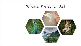 Wildlife Protection Act
 
