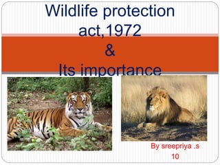 By sreepriya .s
10
Wildlife protection
act,1972
&
Its importance
 
