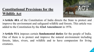 10
Article 48A of the Constitution of India directs the State to protect and
improve the environment and safeguard wildlife and forests. This article was
added to the Constitution by the 42nd Amendment in 1976.
Article 51A imposes certain fundamental duties for the people of India.
One of them is to protect and improve the natural environment including
forests, lakes, rivers, and wildlife and to have compassion for living
creatures.
Constitutional Provisions for the
Wildlife Act
 