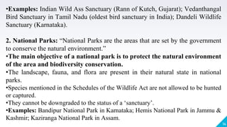 14
•Examples: Indian Wild Ass Sanctuary (Rann of Kutch, Gujarat); Vedanthangal
Bird Sanctuary in Tamil Nadu (oldest bird sanctuary in India); Dandeli Wildlife
Sanctuary (Karnataka).
2. National Parks: “National Parks are the areas that are set by the government
to conserve the natural environment.”
•The main objective of a national park is to protect the natural environment
of the area and biodiversity conservation.
•The landscape, fauna, and flora are present in their natural state in national
parks.
•Species mentioned in the Schedules of the Wildlife Act are not allowed to be hunted
or captured.
•They cannot be downgraded to the status of a ‘sanctuary’.
•Examples: Bandipur National Park in Karnataka; Hemis National Park in Jammu &
Kashmir; Kaziranga National Park in Assam.
 