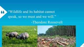“
“Wildlife and its habitat cannot
speak, so we must and we will.”
-Theodore Roosevelt
3
 