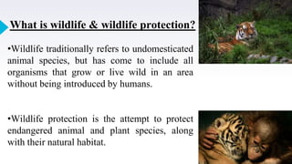 4
What is wildlife & wildlife protection?
•Wildlife traditionally refers to undomesticated
animal species, but has come to include all
organisms that grow or live wild in an area
without being introduced by humans.
•Wildlife protection is the attempt to protect
endangered animal and plant species, along
with their natural habitat.
 