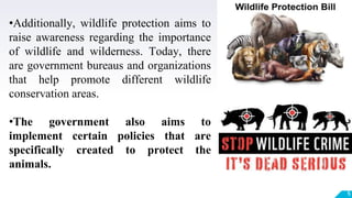 5
•Additionally, wildlife protection aims to
raise awareness regarding the importance
of wildlife and wilderness. Today, there
are government bureaus and organizations
that help promote different wildlife
conservation areas.
•The government also aims to
implement certain policies that are
specifically created to protect the
animals.
 
