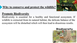 6
Why to conserve and protect the wildlife?
Promote Biodiversity
Biodiversity is essential for a healthy and functional ecosystem. If
wildlife is extracted from its natural habitat, the delicate balance of the
ecosystem will be disturbed which will then lead to disastrous results.
 