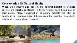 8
Conservation Of Natural Habitat
When we conserve and protect the natural habitat of wildlife
species, we enrich our planet. To do so, we must keep the animals in
their natural place. Conservation of natural habitats will also be
beneficial for humans since it helps keep the essential watersheds
intact and ensuring clean, freshwater.
 