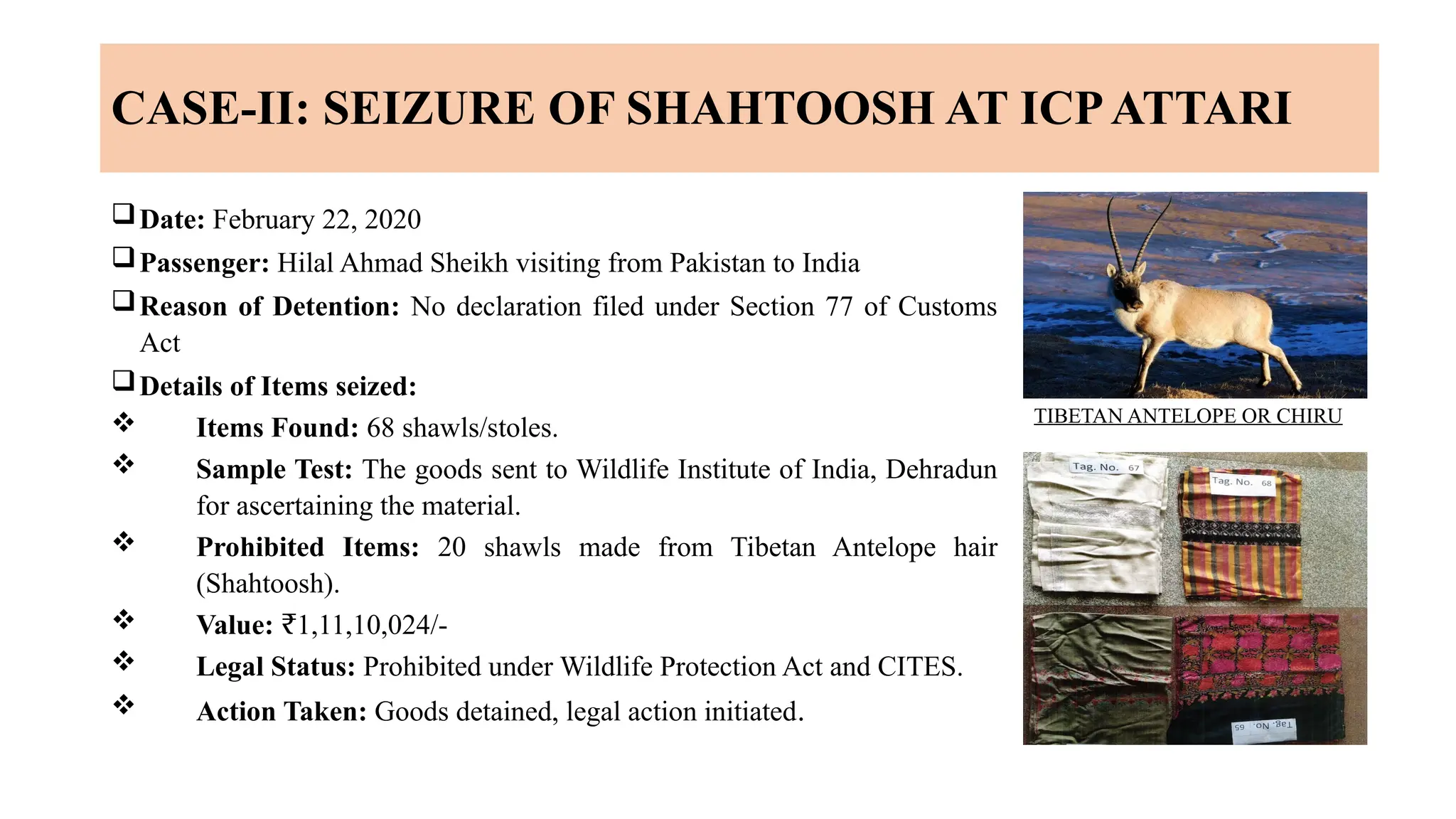 Cites And Customs Wildlife Protection Cites Pptx