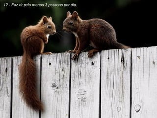 12.- Faz rir pelo menos 3 pessoas por dia. 