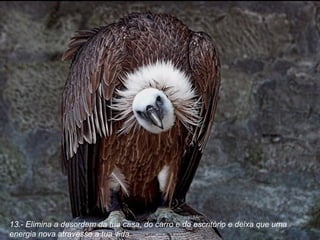 13.- Elimina a desordem da tua casa, do carro e do escritório e deixa que uma energia nova atravesse a tua vida. 