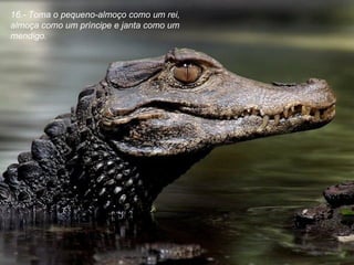 16.- Toma o pequeno-almoço como um rei, almoça como um príncipe e janta como um mendigo. 