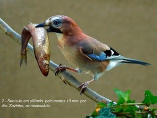2.- Senta-te em silêncio  pelo menos 10 min. por dia. Sozinho, se necessário.   