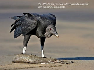 22.- Põe-te em paz com o teu passado e assim não arruinarás o presente. 