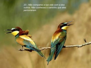 23.- Não compares a tua vida com a dos outros. Não conheces o caminho que eles percorreram. 