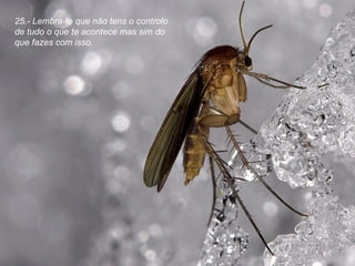 25.- Lembra-te que não tens o controlo de tudo o que te acontece mas sim do que fazes com isso. 