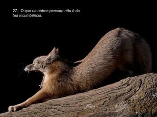 27.- O que os outros pensam não é da tua incumbência. 