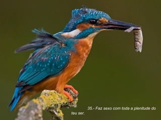 35.- Faz sexo com toda a plenitude do teu ser. 