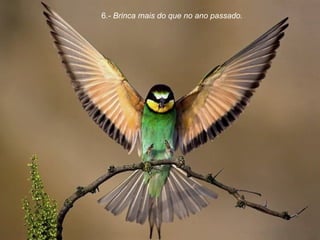 6 .- Brinca mais do que no ano passado.  